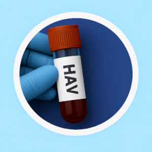 HAV (รวม)