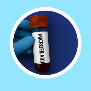 ไมโครฟิลาเรีย