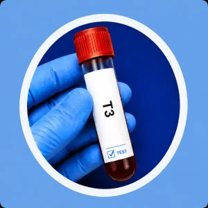 T3